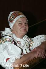 Národní krojový ples